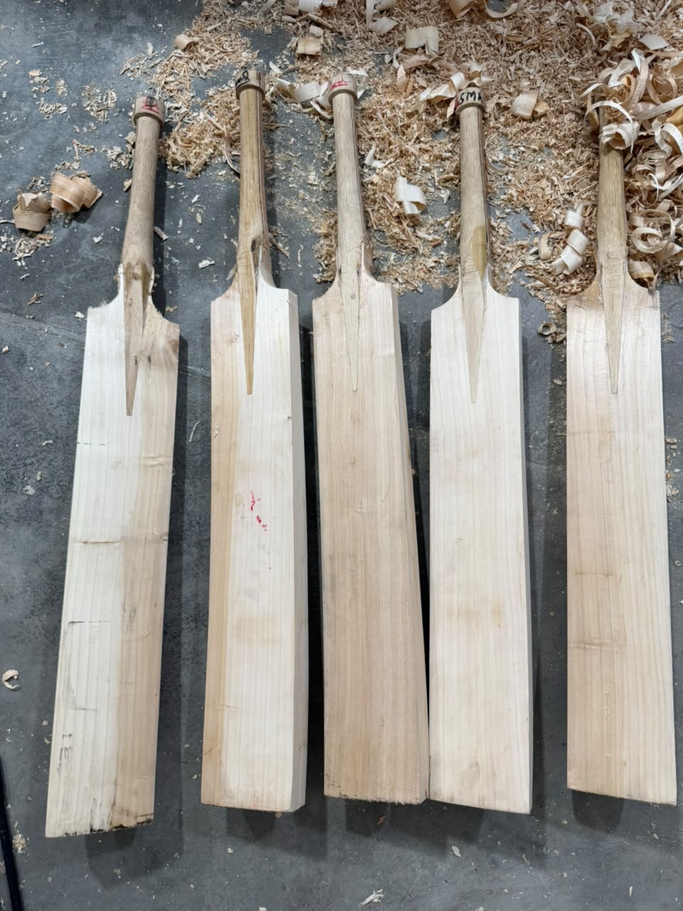 Why a Custom Grade 1 English Willow Bat is the Ultimate Game-Changer