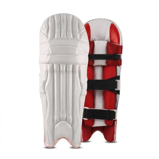 SA Custom English Willow Cricket Kit